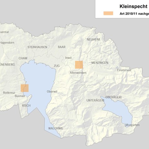 Verbreitungskarte Kleinspecht