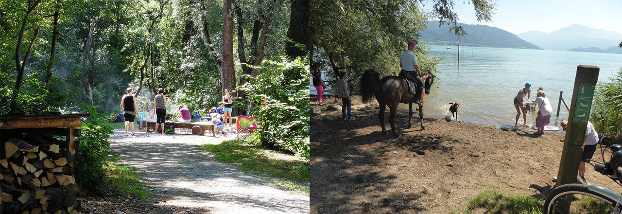 Choller Spezielle Angebote