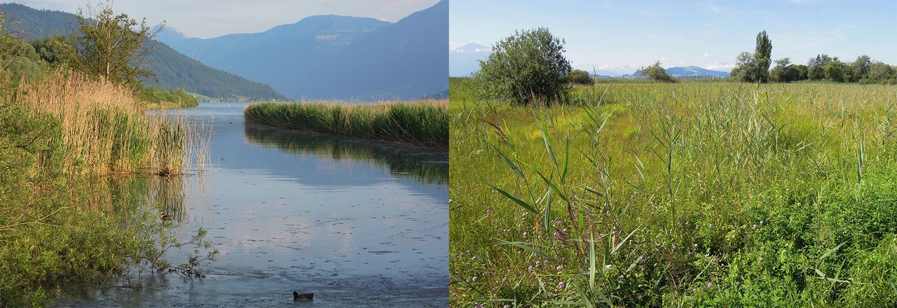 Choller Naturschutzgebiet