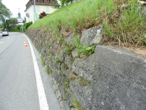 Historische Stützmauer wird ersetzt