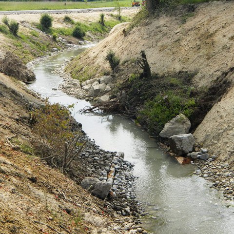 06_Fischunterstände