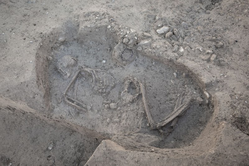 Skelett eines erwachsenen Mannes