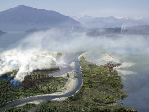 Foto 1: Fundort Zug-Riedmatt