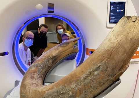 Foto 1: Auf den Spuren des Mammuts