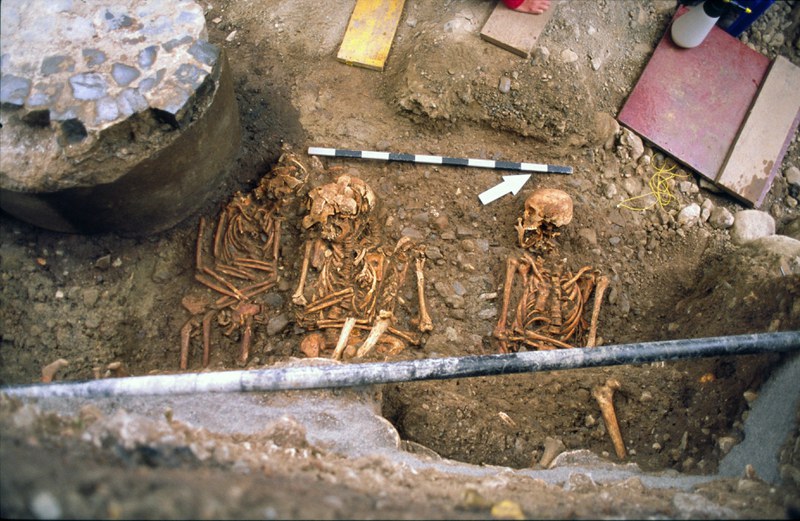 Drei freigelegte Oberkörper von Skeletten während der Grabung auf dem Friedhof St. Oswald