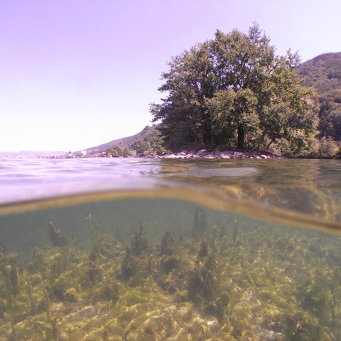 Zug Oterswil, Insel Eielen