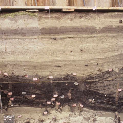 Zug Riedmatt, Grabung 2008