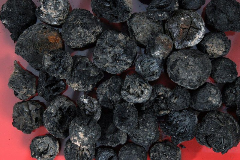 Aufgehäufte, verkohlte Birnen