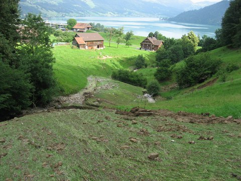 Bildlegende: Der Erliberg in Oberägeri nach dem Hochwasser von Ende Juni 2011 (Foto: belop GmbH)