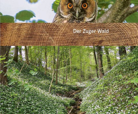 Titelbild Waldbroschüre