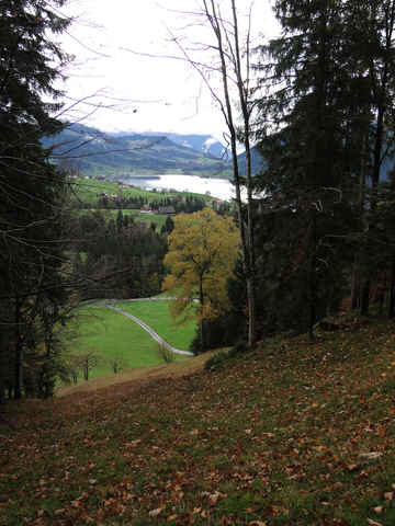 Blick auf den Ägerisee