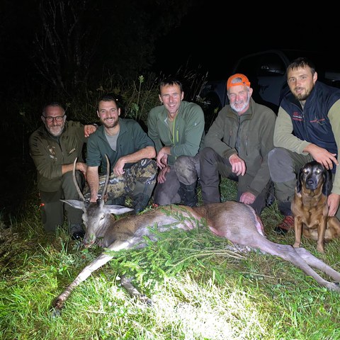 Bild 17 HJ 20220914.jpg