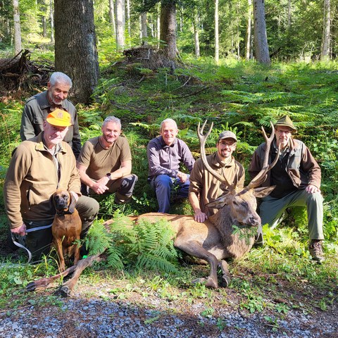 Bild 21 HJ 20220920.jpg