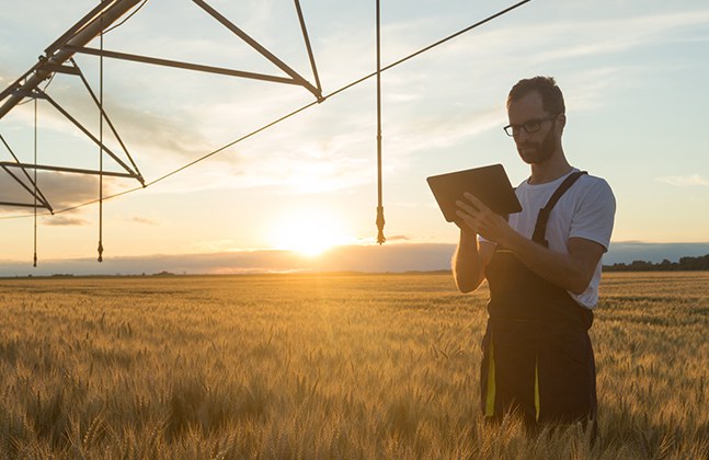 Verstärken, Nutzen der digitalen Transformation