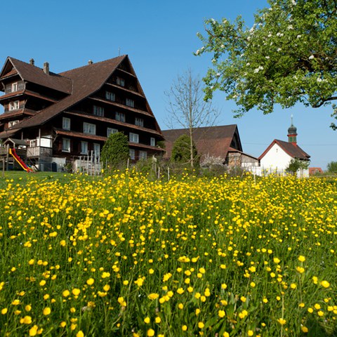 Meisterwil, Photo andreasbusslinger.ch
