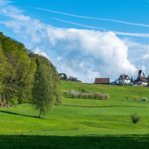 St. Wolfgang, Photo andreasbusslinger.ch