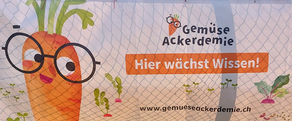 Gemüseackerdemie
