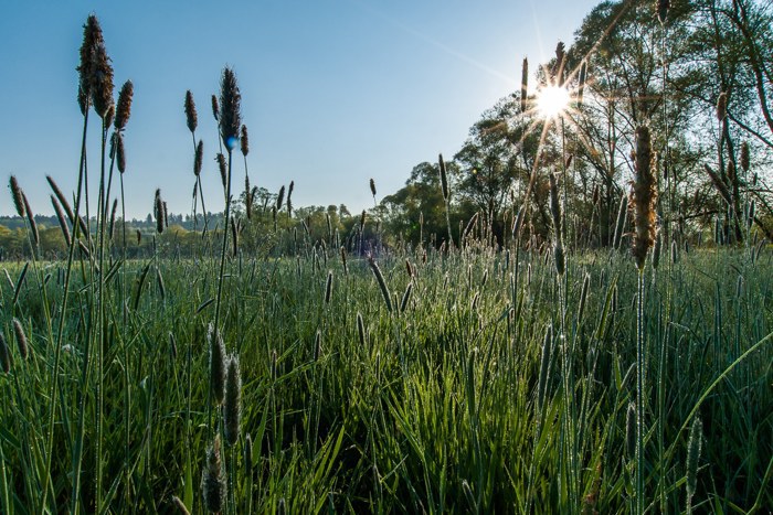 Bild: www.andreasbusslinger.ch