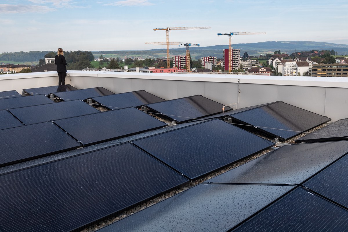 Photovoltaik Anlage und Jasmin Hess