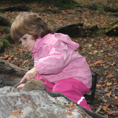 Spielen im Wald 3