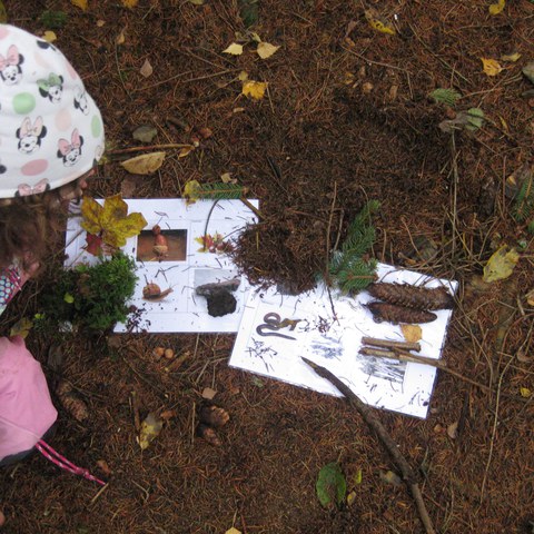 Naturmaterialien suchen.JPG