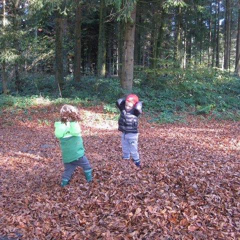 Wald.JPG