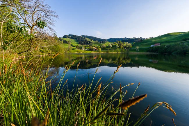 Bild zum Thema Umwelt