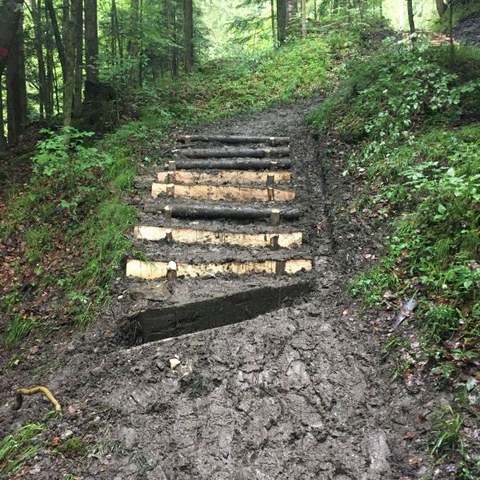 GA Pi u SAssist 1-16 (3)