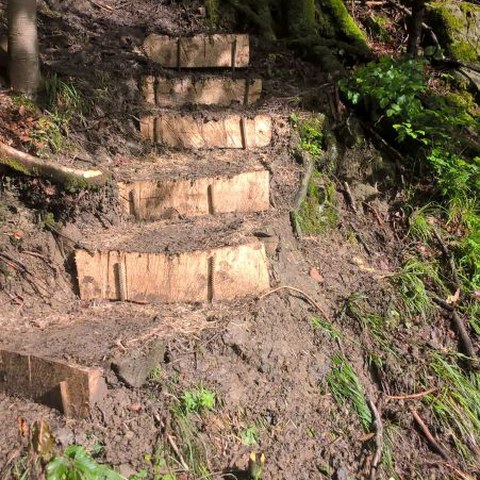 GA Pi u SAssist 1-16 (8)