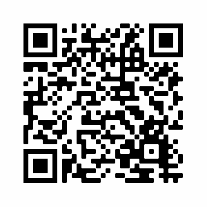 QR Code RBV Garagen