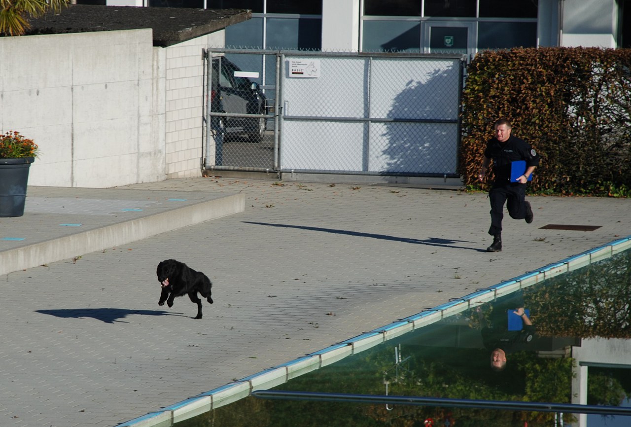 Ortus von der Testathron im Einsatz