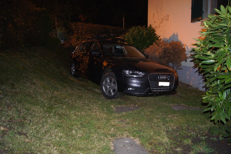 Auto fuhr in Vorgarten