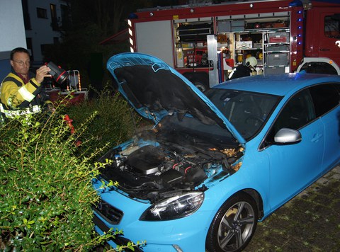 Zug, 31. Oktober 2016, 19:10