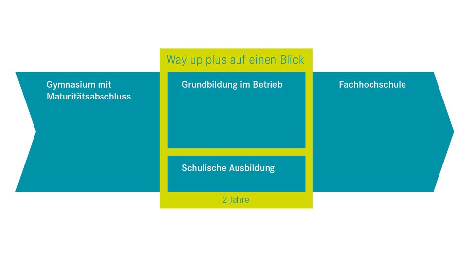 grafische Überischt zu den way up plus Lehrgängen