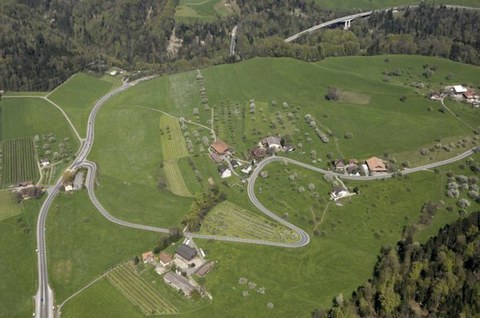 Landschaft mit Wiesen und Häusern, Luftaufnahme