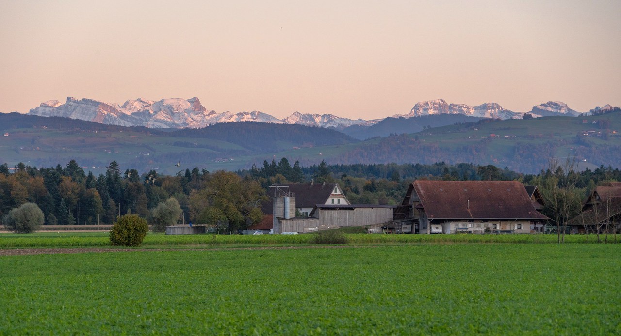 Landwirtschaftsbetrieb im Abendlicht ©