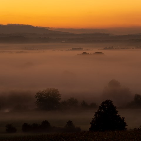 Sonnenaufgang über der Reussebene ©