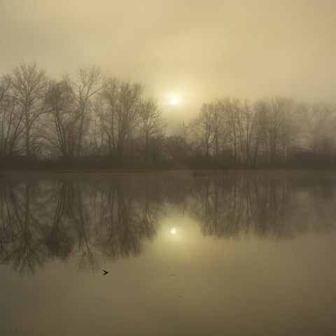 Überschwemmte Streuefläche am Reussspitz ©