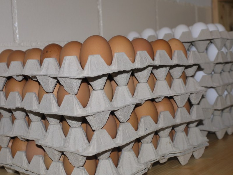 Eierkarton